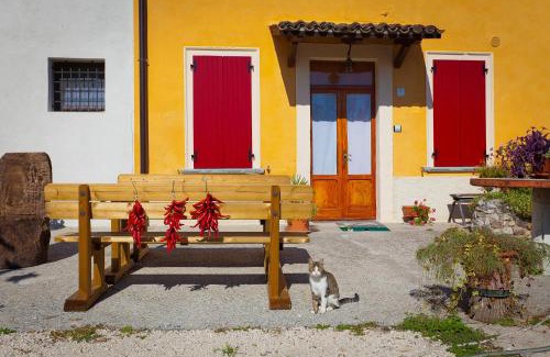Campagnolo House | Agriturismo con Cucina tipica Nuova Scardua