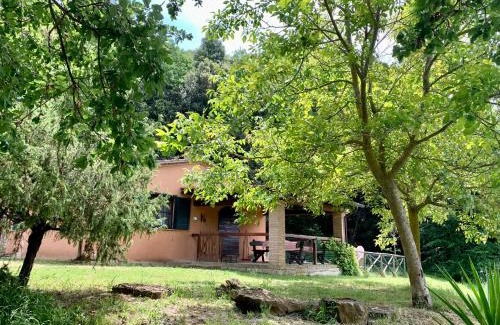 Montescudaio House | Agriturismo Fattoria La Prugnola