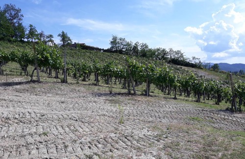 Lerma Apartment | Agriturismo IL BIANCOSPINO Bed & Wine