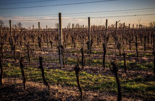 Zoppola Bed & Breakfast | Agriturismo iL CASONE