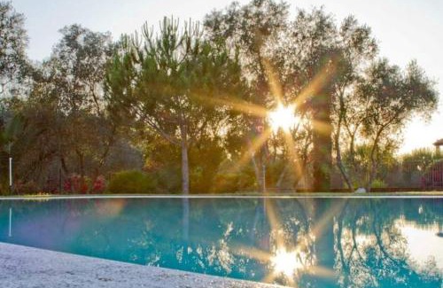 Gavorrano House | Agriturismo Il Riccio