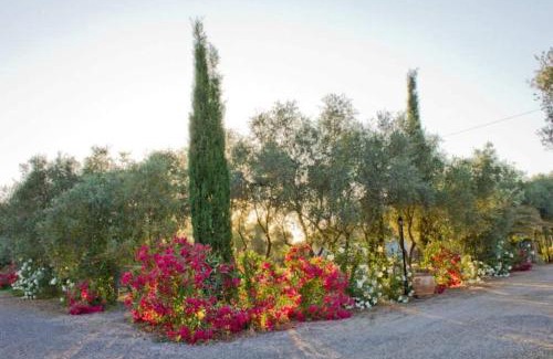 Gavorrano House | Agriturismo Il Riccio