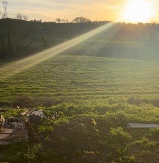 Santa Luce Apartment | Agriturismo iOlive Tuscany appartamento LECCINO