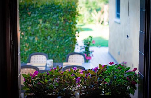 Rivarotta House | Agriturismo Olistella