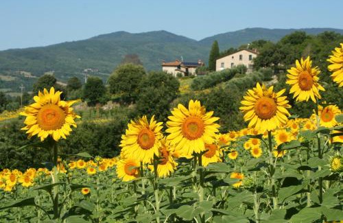 Pieve Santo Stefano House | Agriturismo Le Ceregne Bio