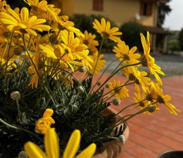 Toiano House | Agriturismo LA CERBANA