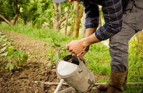 Gubbio House | Agriturismo La Contessa Quarter Horse