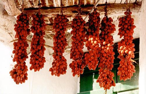 Succhivo House | Agriturismo La Pergola