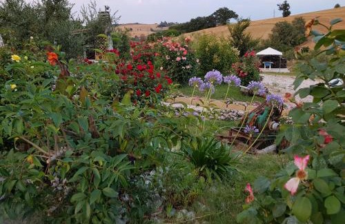 Pesaro House | Agriturismo La Stradaccia