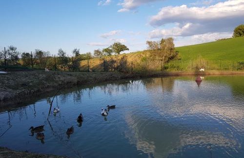 Pesaro House | Agriturismo La Stradaccia