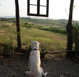 Ferretto House | Agriturismo La Terra
