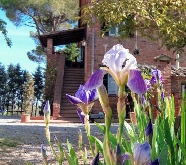 Ferretto House | Agriturismo La Terra