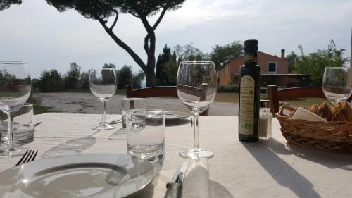 Riparbella House | Agriturismo Le Serre