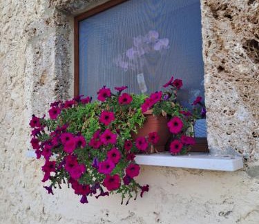 Castelliri House | Agriturismo Pavoni