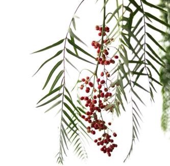 Rivoli Veronese House | Agriturismo Pepe Rosa