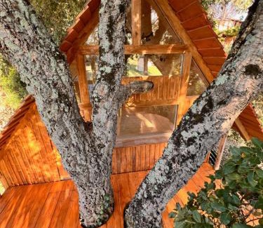 Roccastrada House | Agriturismo Pereti