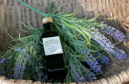 Rufina Bed & Breakfast | Agriturismo Podere Querceto