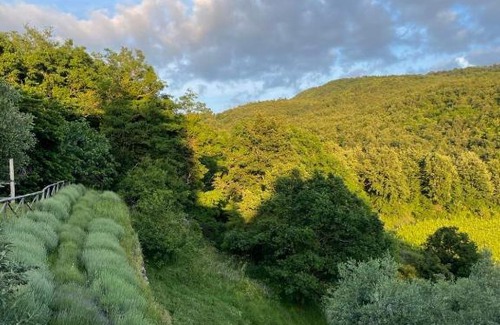 Rufina Bed & Breakfast | Agriturismo Podere Querceto