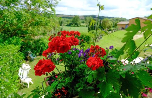 San Giovanni d'Asso House | Agriturismo Sant'Agostino