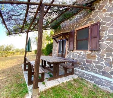 Massa Marittima House | Agriturismo “Sterrati”