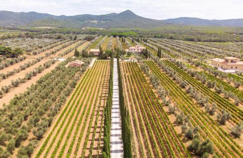 Castagneto Carducci House | Agriturismo Tra gli Ulivi, Chiappini Winery