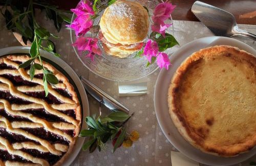 Castagneto Carducci House | Agriturismo Tra gli Ulivi, Chiappini Winery