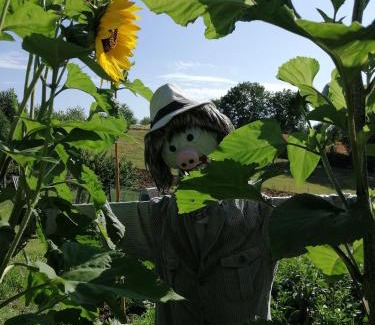 Mondavio House | Agriturismo Villa Beatrice