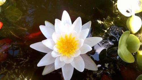 Vigonovo House | Agriturismo Villa Serena