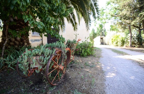 Roccastrada Apartment | Agriturismo Welcome - Apartment "Casa Padronale"