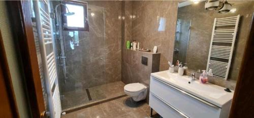 Baia-Sprie House | Agropensiunea Hareta