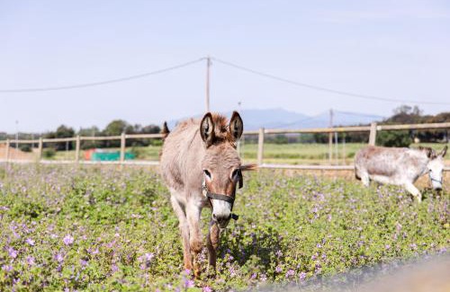 Campllong House | Agroturisme Sant Dionis