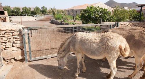 Tiscamanita House | Agroturismo La Gayria