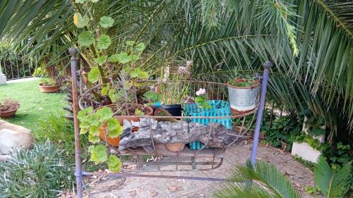 Mascalucia Apartment | Ai 4 gatti