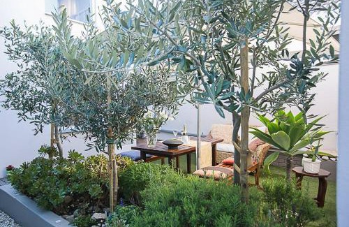 Hermanus Apartment | Airconditioned Apartment for 3 guests.