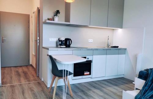 Ruzinov Apartment | Airport studio for two, free parking, airport view