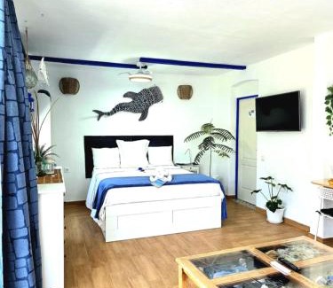 Ajuy Apartment | Ajuy Fuerteventura House