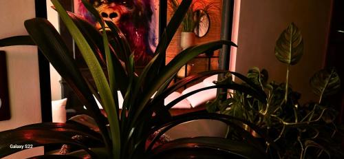 Lavaur Apartment | Aka Love'Room