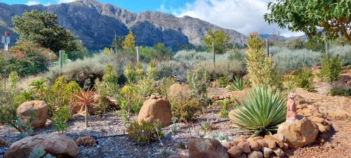 Franschhoek Apartment | Akkedis at Artemis