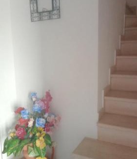 Vila Nova de Milfontes House | Além Mira