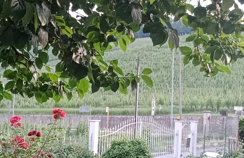 Barolo House | AL CIVICO 20 L'impero Del Sole!