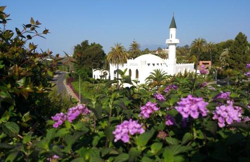 Golden Mile Hotel | Alanda Marbella Hotel & Wellness
