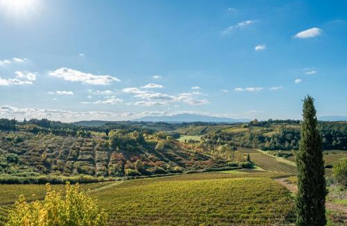 Cerreto Guidi Bed & Breakfast | Albergo Il Tegolo