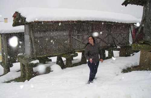 Castro Daire House | Aldeia de Moura Morta