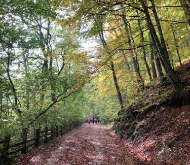 Vladeni Apartment | Alessia Apartment