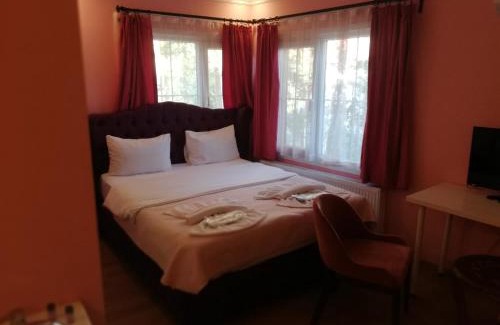 Agva Hotel | Alesta Butik Otel