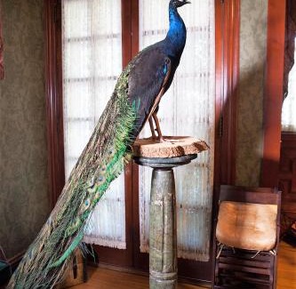 Winona Bed & Breakfast | Alexander Mansion Bed & Breakfast