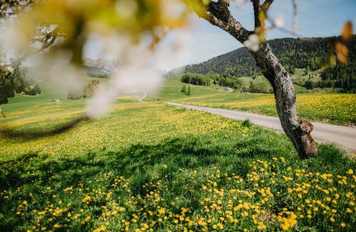 Castello Tesino Other | Alice