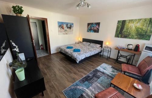 Campulung Moldovenesc Apartment | Alio Room Campulung Moldovenesc