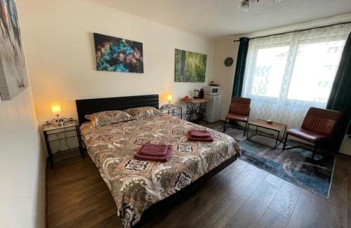 Campulung Moldovenesc Apartment | Alio Room Campulung Moldovenesc