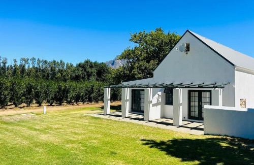 Cape Winelands Bed & Breakfast | Allèe Bleue Wine Estate